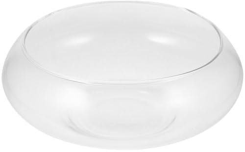 Milisten Vaso Idroponico Trasparente Per Piante Grasse e Fiori Fioriera Da Tavolo Per Decorazione Di Casa e Giardino Contenitore Versatile Per Coltivazione Di Piante e Succulente Per