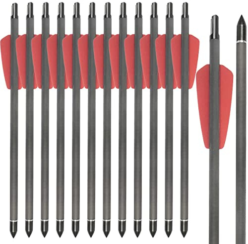 WANVZMR Carbon Crossbow bolts 7.5 15 inch Archery Crossbow Arrows with 2 Vanes Replaced Arrowhead Tip (Pack of 12) (red, 15inch)