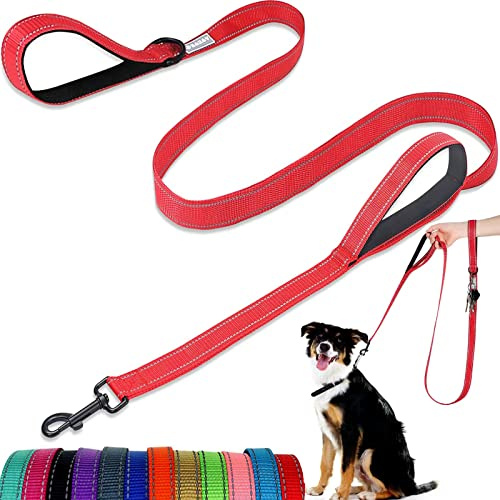 Guinzaglio per cani – con due manici imbottiti, due guinzagli per cani, in nylon riflettente su entrambi i lati, per allenarsi e camminare, perfetto per cani di taglia media e grande