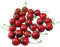 Zhichengbosi 25PCS Foam Artificial Cherries, Fake Red Cherries, Lifelike Fruit Model For Home Decor, Furniture Display, Party Decoration