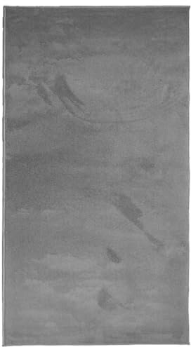 vidaXL Teppich Oviedo Kurzflor Anthrazit 80x150 cm
