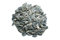 Classic Sonnenblumenkerne schwarz 20kg