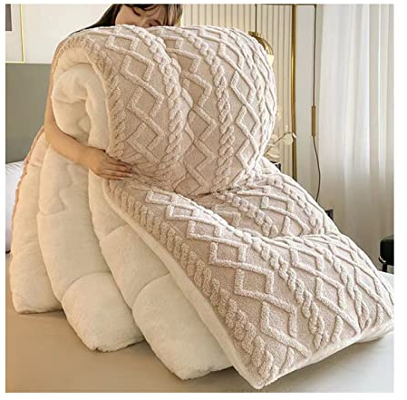 KemNet Cachemire ​RéVersible Couette, Couette Double Plume d'oie Édredon, couvertures d'hiver épaisses et Chaudes, Super Doux, pour La Maison,C,180×220cm(3kg) [Classe énergétique A]