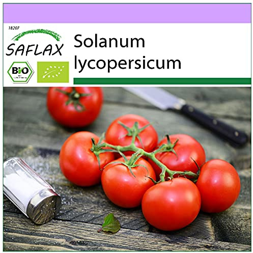 SAFLAX - Ekologiskt - Tomat - Matina - 10 Frön - Solanum lycopersicum