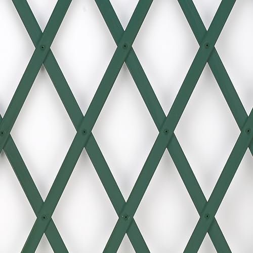 TENAX Treplas 50x200 cm Verde, Enrejado Extensible en PVC para la Sujeción de Plantas Trepadoras y Decorar Paredes, Balcones y Terrazas