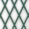 TENAX Treplas 50x200 cm Verde, Enrejado Extensible en PVC para la Sujeción de Plantas Trepadoras y Decorar Paredes, Balcones y Terrazas