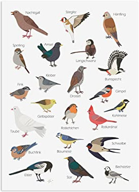 Nastami Postkarte Gartenvögel Grußkarte VÖGEL Gartenvögel