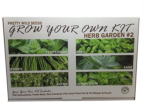 Herb Garden #2 Grow Your Own Kit with Chives Peppermint Basil Sage Thyme & Lemon Balm Seeds Perfect Herbs for Kids & Beginners Schools Gardening Clubs