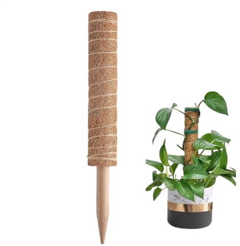 Support pour grimpantes en fibre de coco - Pour intérieur et extérieur - Outil de plantation pour philodendron, monstera, lierre
