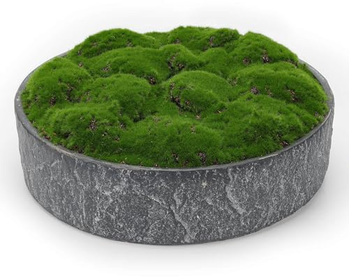 NAHARO New Moss Bowl,11''Handmade Cement Bowl–Artificial Moss Centerpiece for Home Decoration, Living Room, Office, or Coffee Table Display