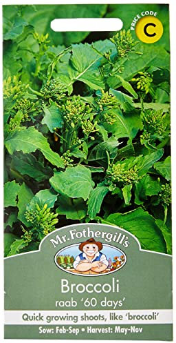 Mr Fothergill's 17752 Broccoli Raab (60 Days)