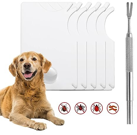 ZEIEYA Zeckenkarte mit Lupe, 5 Stück Zeckenzange Set Zeckenzangen-Werkzeugsatz Zeckenkarte für Menschen mit Edelstahl Zeckenzangen für Menschen, Kinder, Hunde und Katzen