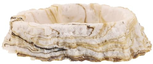 DECHOUS Cuenco para Reptiles y Agua de Resina Natural Lavable y Resistente Plato para Alimentación de Gecos y Pequeños Reptiles Terrarios