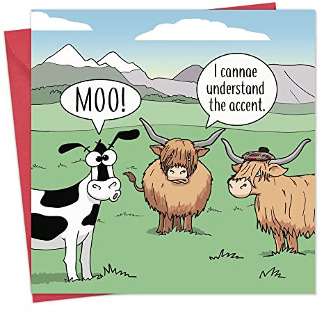 Twizler Lustige Karte mit Hochlandkühen - Blankokarte - Lustige Geburtstagskarte für Männer oder Frauen