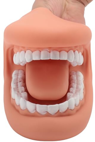 Marionetta per Bocca, Marionetta per Bocca Motore Orale 28 Denti, Strumento di Apprendimento Educativo in Silicone per Bambini, Ideale per Spazzolare Display Insegnante