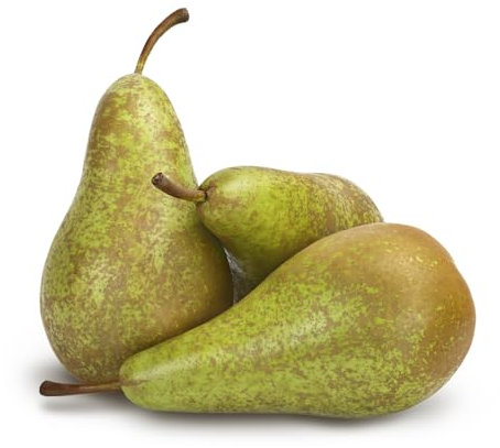 Pear Trees, 'Conference', 2 x Full Plants in 10 Litre Pots, Pears, Fruit Trees, 1.4m-1.6m Height, Garden Ready and Ready to Plant, Premium Quality Plants