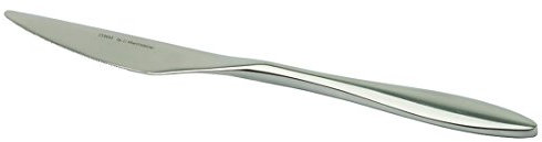 Visiodirect Lot de 12 Couteaux A Dessert Online L200 mm