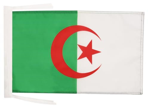 AZ FLAG Flagge ALGERIEN 45x30cm mit Kordel - ALGERISCHE Fahne 30 x 45 cm - flaggen Top Qualität