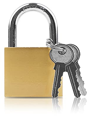 Lamondre Vorhängeschloss 48mm - Robustes Schloss Mit 3 Schlüsseln, Wasserdicht Hochleistungs für Spind, Schuppen, Garagen, Zäune, Garten
