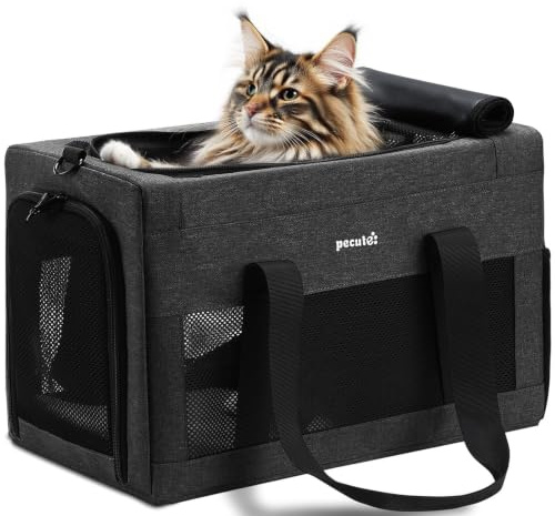pecute Kattväska extra stor, katttransportbur mörkgrå | Robust hundtransportväska, kattbärväska, lätt, ventilerad katttransportbur för resor, bil, veterinär, upp till 7 kg