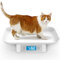ICARE-PET Welpenwaage zum Wurf, Haustierwaage für Welpen und Katzen, 15 kg (±1 Gramm), abnehmbare Schale, Größe 34 x 24 cm (Grau)
