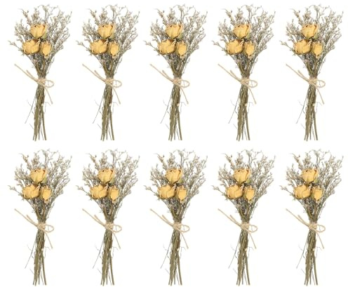 PATIKIL Mini torkad blombukett, 10 stycken rosor naturlig vild blomma med stjälk dekor gipsblomma boho blommor växt blomma för pyssel gör-det-själv foto rekvisita gåva bröllopsdekor, beige