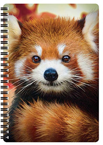 3D LiveLife A5 anteckningsbok – babyröd panda från Deluxebase. Spiralbunden fodrad anteckningsbok med 80 återvunna sidor, 3D-röd panda konst anteckningsböcker för arbete, gåvor och skolmaterial, (21 x