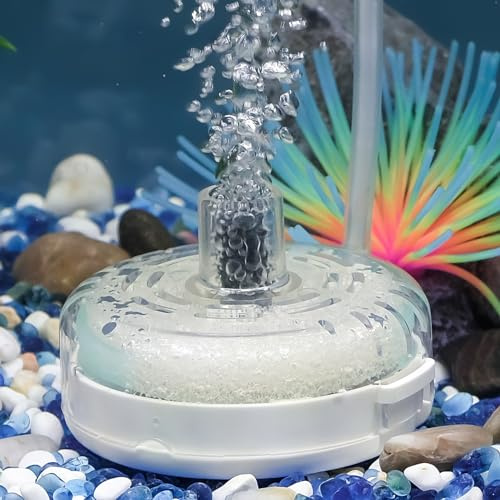 Pawfly Filtro silenzioso Betta Fry gamberetti e pesci piccoli con schiuma e sfere filtranti sommergibili per acquari 20-75 L (pompa d'aria non inclusa)