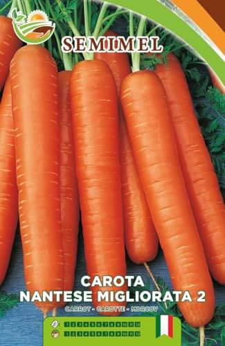 Carota Nantesa Migliorata 2- Semi di Carota Arancione Precoce, Radice Cilindrica Carnosa e Tenero Cuore Raccolta Estiva e Autunnale 3 confezioni