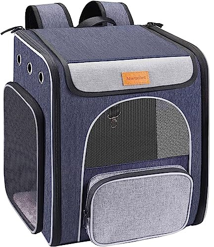 Mochila para Gatos de hasta 5 kg