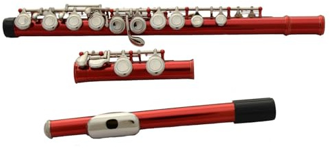 tvärflöjt instrument Flöjtinstrument Professionell flöjt C nyckelflöjt 16 hål stängt hål