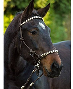 Seneca Reithalfter (2 Warmblut)