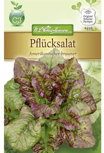 Chrestensen Pflücksalat 'Amerikanischer brauner'
