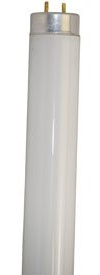 Technical Precision Replacement for Light Bulb/Lamp Fl20cw/18 588.5mm Not Including Pins 20W Fluorescent Bulb with G13 2 Pin Base - T10 24 Inch Fluorescent Light Bulb - 4100K Cool White - 1 Pack