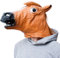 GOODS+GADGETS Pferdemaske für Karneval & Halloween Pferde Kostüm Maske aus Latex Fancy Dress Gesichtsmaske Tiermaske Pferdekopf
