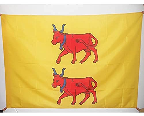 AZ FLAG - Drapeau Province du Béarn - 90x60 cm - Drapeau Pyrénées-Atlantiques - France 100% Polyester Avec Fourreau et Cordelette - Pavillon 50 g