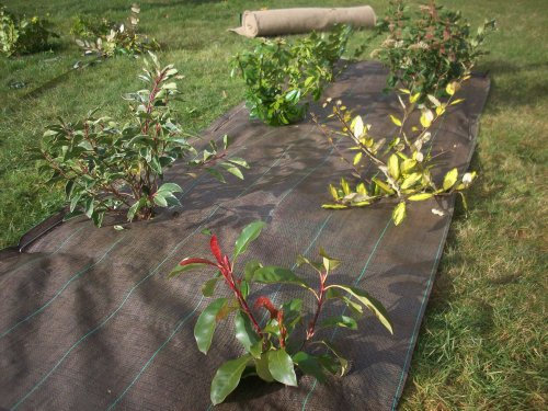 Vilmorin VB01013 - Tejida de Polipropileno Tejido de abono Verde 1,05 x 20m estándar de Calidad