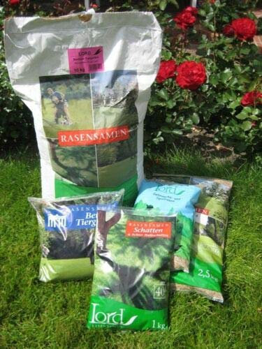 Spiel- und Sportrasen - 1 kg