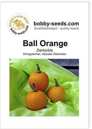 Ball Orange Zierkürbis von Bobby-Seeds, Portion