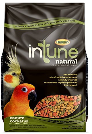 Higgins 466250 Hig Intune Conure Tiel 2Lb, Large