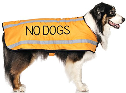 Inga hundar (inte bra med andra hundar) orange färgkodad S M L reflekterande vattentät fleecefodrade varma hundrockar förhindrar olyckor genom att varna andra om din hund i förväg (L-XL)