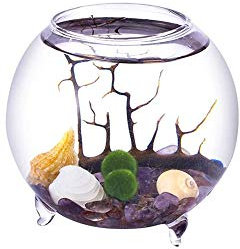 Kit d'aquarium soufflé Kit de Terrarium Globe Aquatique, Vase en Verre, Boules de Mousse Vivante, Galets, Coquillages et Ventilateur de Bureau (Style B)