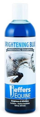 Jeffers Equine Brightening Blue Whitening Horse Shampoo, 16oz – Soap Free, Detergent Free Grooming Shampoo for Coat, Mane & Tail, Removes Tough Stains, Enhances Shine, Safe for White & Light Coats