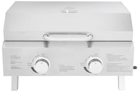 Barbecue a gas da tavolo, 2 bruciatori in acciaio inox, 55,8 x 45 x 38 cm, con coperchio, per cortile, terrazza, campeggio, picnic