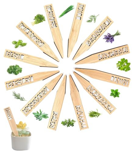 T TAKONE Lot de 12 étiquettes à herbes en bambou - Résistantes aux intempéries - Pour jardin d'herbes aromatiques - Parfait comme piquet de plantes et panneau de jardin