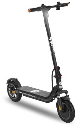 Trottinette électrique EZWAY EX100-25 km/h, 25 km d'autonomie, Batterie 21,6V 10,4Ah, Frein à Disque, pneus Tout-terr