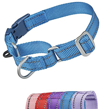 YUDOTE Reflekterande Martingale hundhalsband flyktsäker anti-drag-träningshalsband med säkerhet snabbfrigörande spänne för smala huvud hundar lätt promenad medium blå