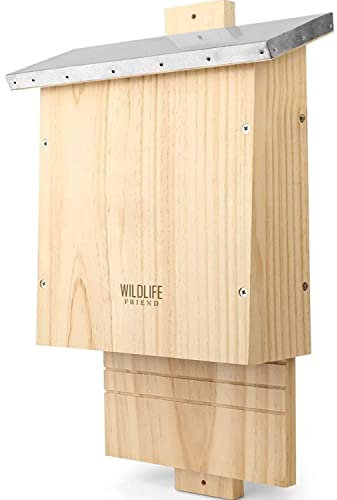 WILDLIFE FRIEND I Großer Schwerer Fledermauskasten nach NABU - verschraubt aus Massivholz & 100% wetterfest, unbehandelt, Fledermaus-Haus & Nistkasten Fledermäuse, Sommer & Winterquartier