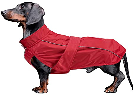 Chubasquero para Perro MOREZI, Capa Exterior Impermeable, Forro Polar, Ribete Reflectante y cinturón Ajustable, Apto para Perros Salchicha-Rojo-S