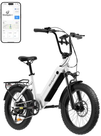 Bodywel F20 E-Bike Adulto 48V 15Ah Batteria 250W Motore 25 km/h, Bici Elettrica Fatbike 20 Pollici per Uomo e Donna, 7 Velocità, Display Smart APP, Freni a Disco 180mm, Portapacchi